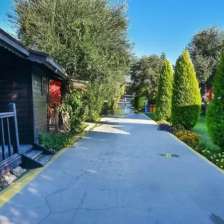 Altinkum Bungalow 3* Сіде