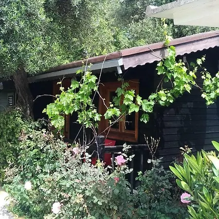 Готель Altinkum Bungalow Сіде