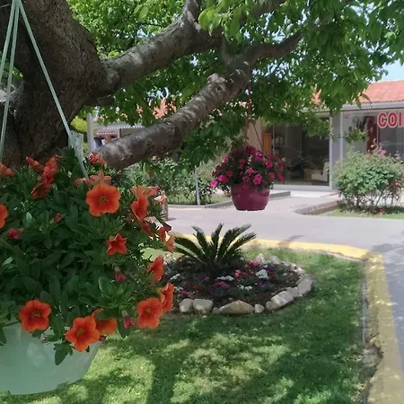 Готель Altinkum Bungalow 3*